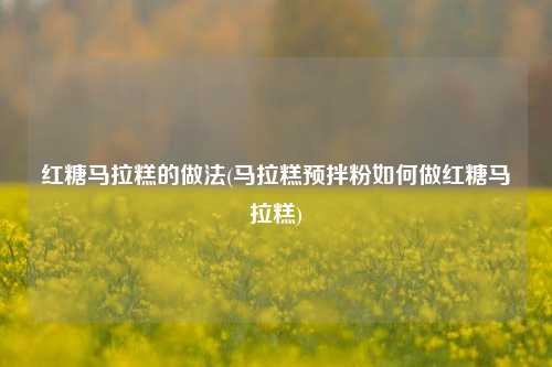 红糖马拉糕的做法(马拉糕预拌粉如何做红糖马拉糕)