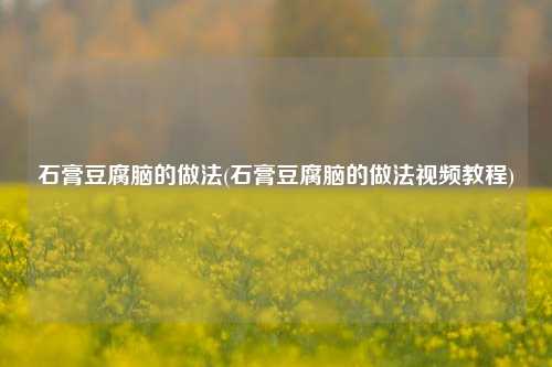石膏豆腐脑的做法(石膏豆腐脑的做法视频教程)