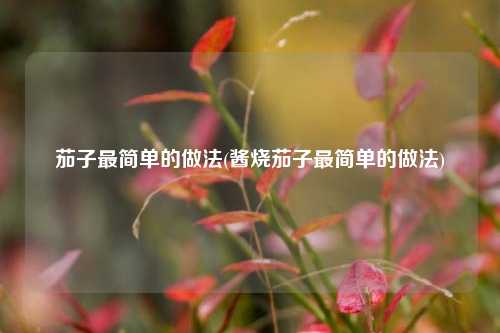 茄子最简单的做法(酱烧茄子最简单的做法)
