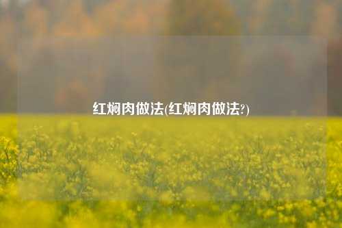 红焖肉做法(红焖肉做法?)