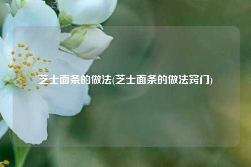 芝士面条的做法(芝士面条的做法窍门)