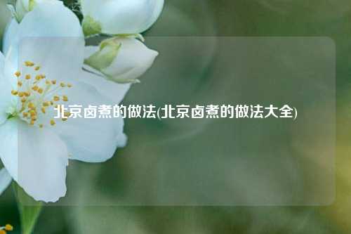 北京卤煮的做法(北京卤煮的做法大全)