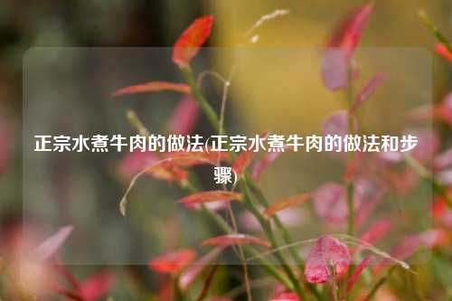正宗水煮牛肉的做法(正宗水煮牛肉的做法和步骤)