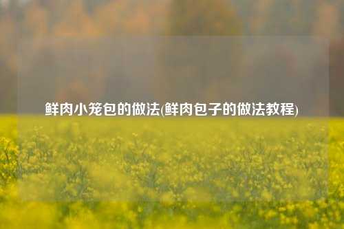鲜肉小笼包的做法(鲜肉包子的做法教程)