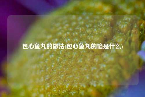 包心鱼丸的做法(包心鱼丸的馅是什么)