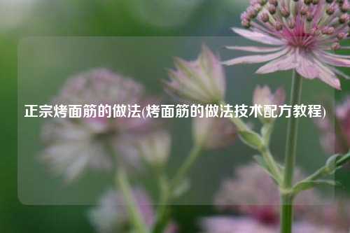 正宗烤面筋的做法(烤面筋的做法技术配方教程)
