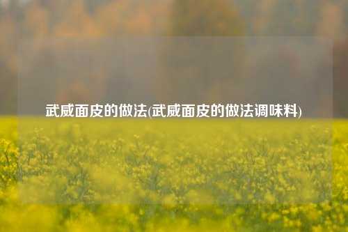 武威面皮的做法(武威面皮的做法调味料)