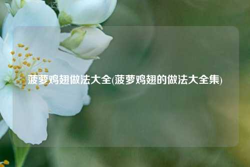 菠萝鸡翅做法大全(菠萝鸡翅的做法大全集)