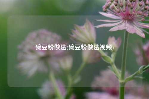 碗豆粉做法(碗豆粉做法视频)