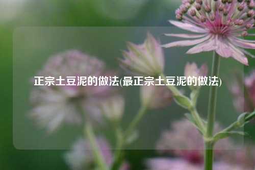正宗土豆泥的做法(最正宗土豆泥的做法)