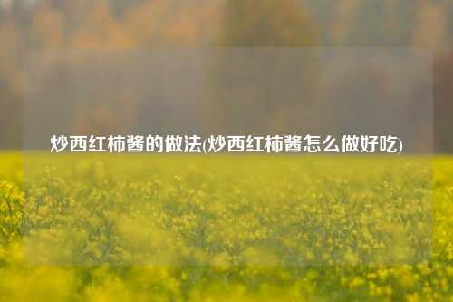 炒西红柿酱的做法(炒西红柿酱怎么做好吃)