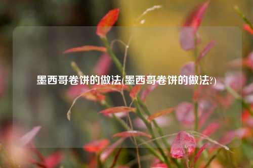 墨西哥卷饼的做法(墨西哥卷饼的做法?)