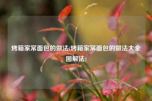 烤箱家常面包的做法(烤箱家常面包的做法大全图解法)