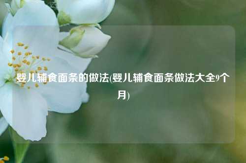 婴儿辅食面条的做法(婴儿辅食面条做法大全9个月)