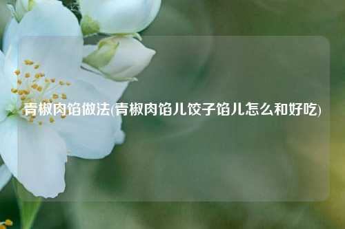 青椒肉馅做法(青椒肉馅儿饺子馅儿怎么和好吃)